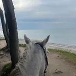 Naehe Warnemuende Elmenhorst/Lichtenhagen