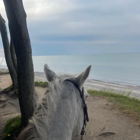 Naehe Warnemuende Эльменхорст