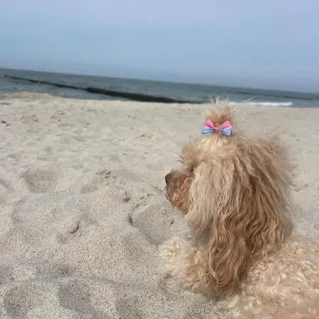 Дом отдыха Naehe Warnemuende *