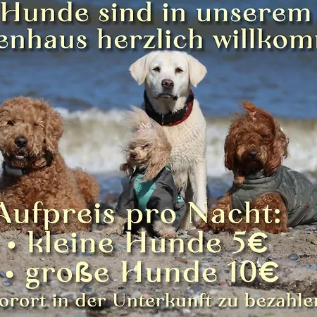 Feriehus Naehe Warnemuende