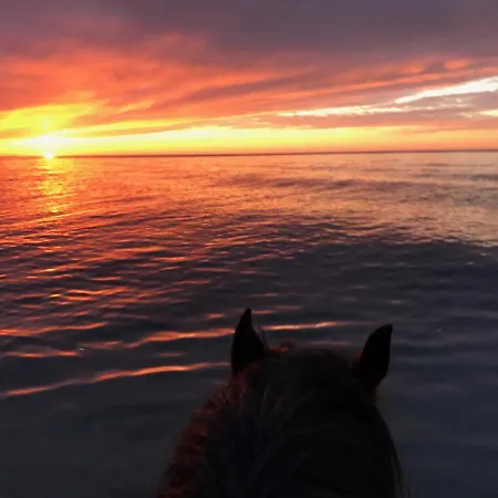 Naehe Warnemuende * Эльменхорст